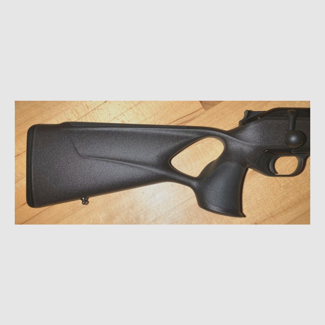 Blaser R8 Professional Success