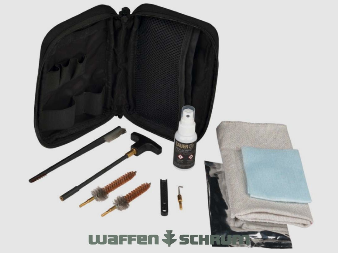 Sauer Reinigungssatz