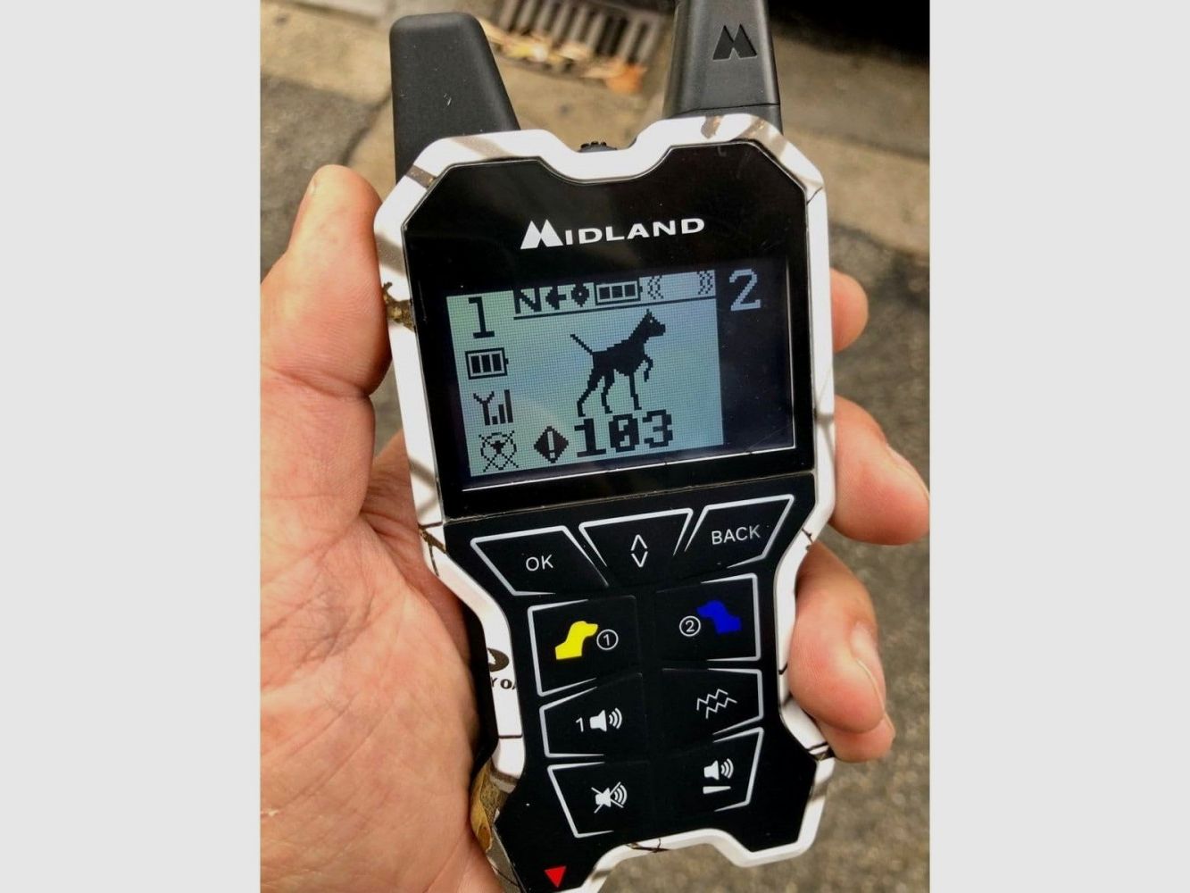 CANICOM Beeper One GPS NUOVO, immagine 3 di 3