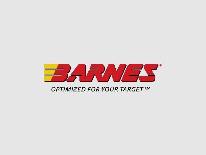 Barnes Geschoss .458 / .458 Socom 300 Grains