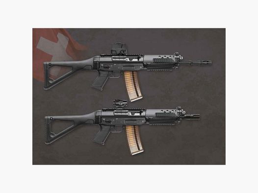 SIG 553 Standard SB con rail Picatinny, Rotex, calcio regolabile, nero
