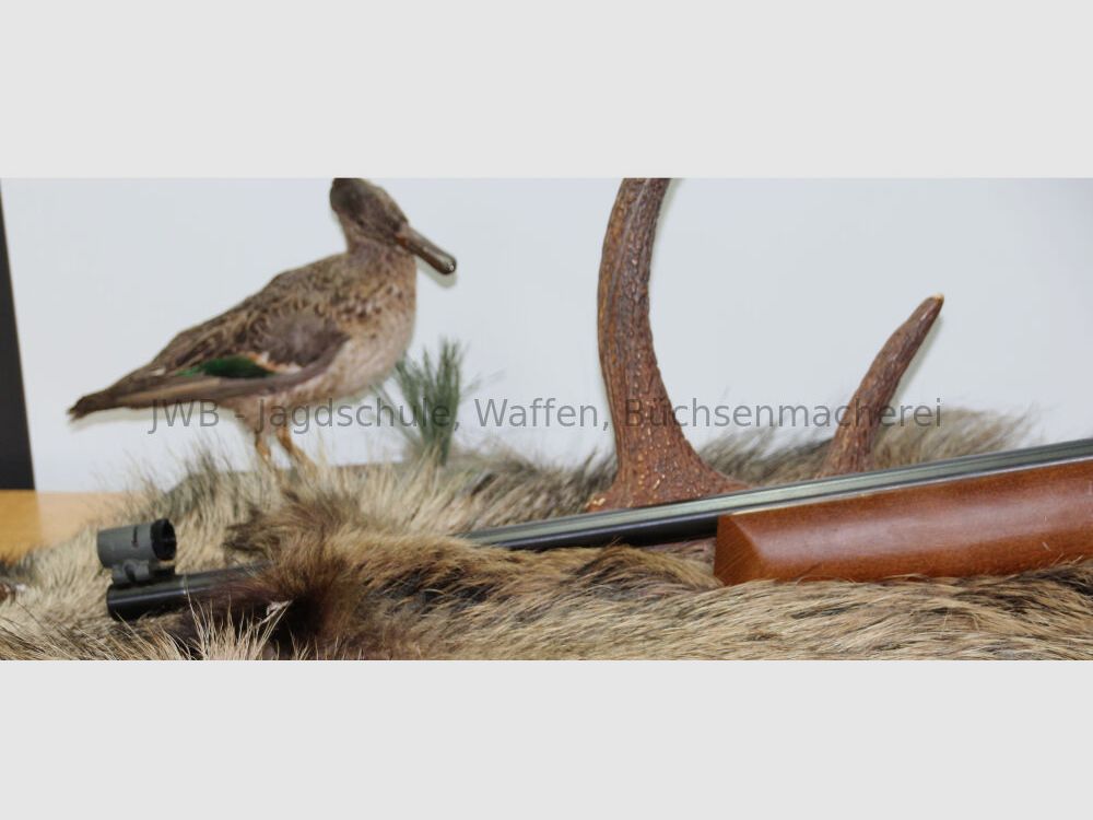 Anschütz 64 - .22lr