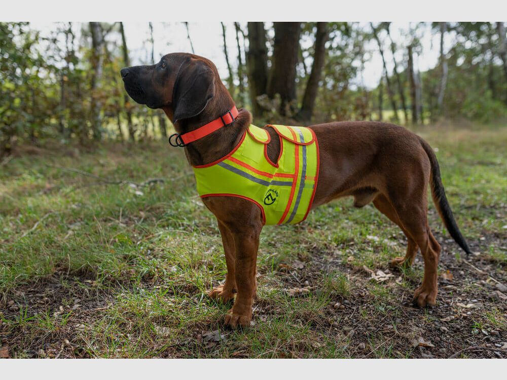 Hunde Reflektorweste