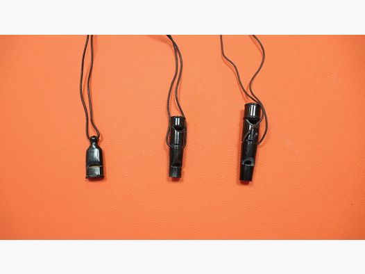 Training Whistles