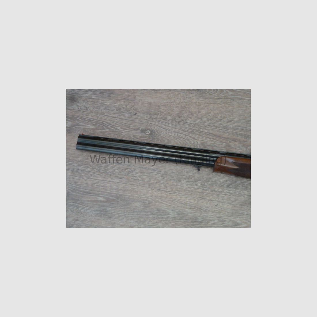 Rottweil Mod.700
