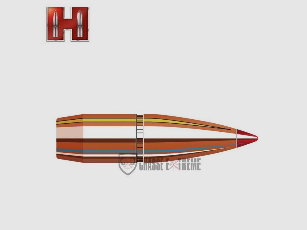 100 Geschosse HORNADY 30 Kal. 308-165 Gr Sst