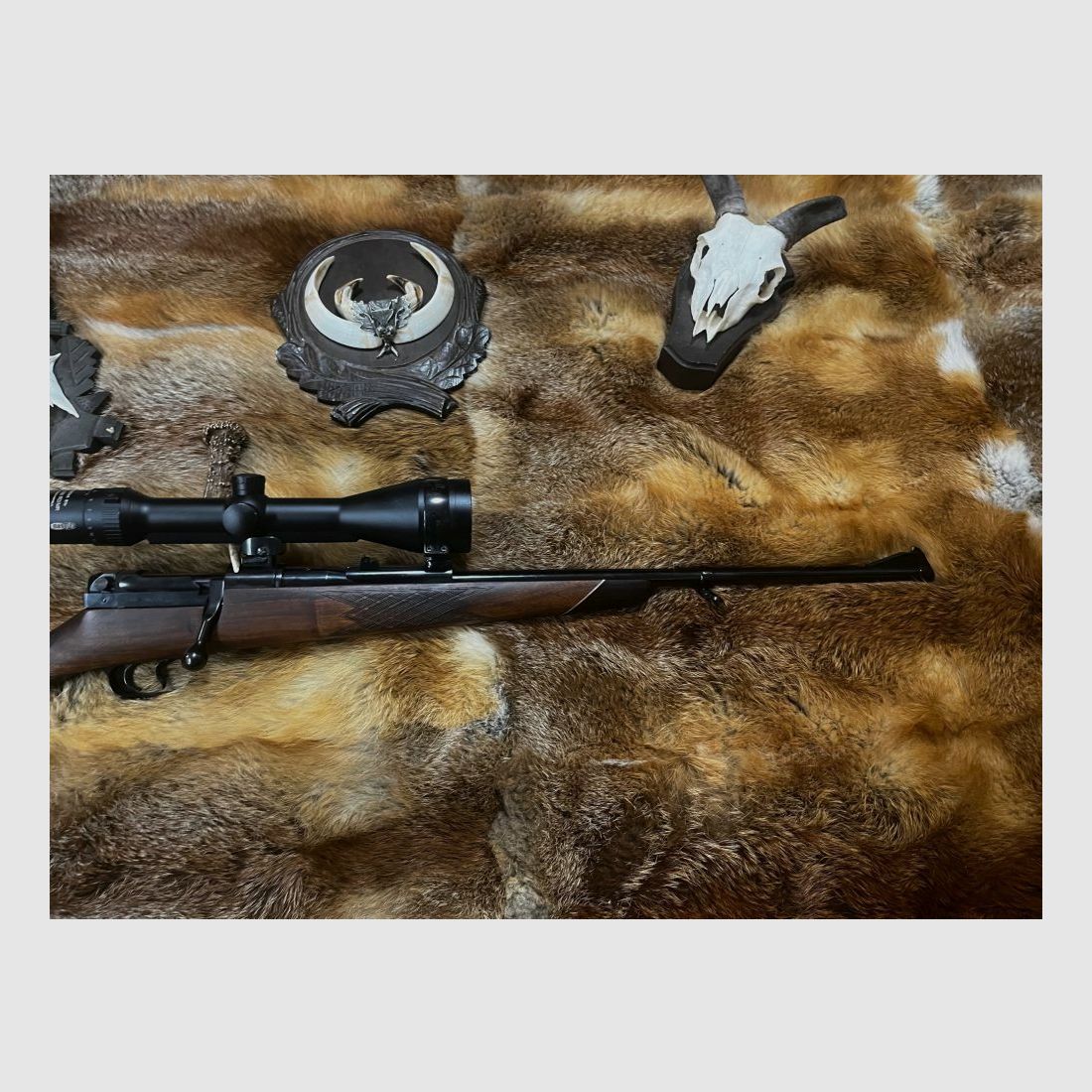 Mauser 66
