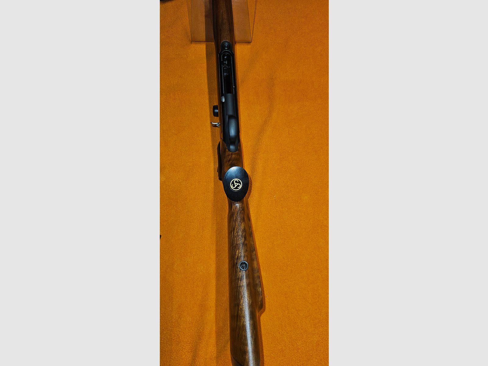Sauer 303 Classic .30-06 mit Swarovski Z6i 1-6x24 SR & Sauer-Montage