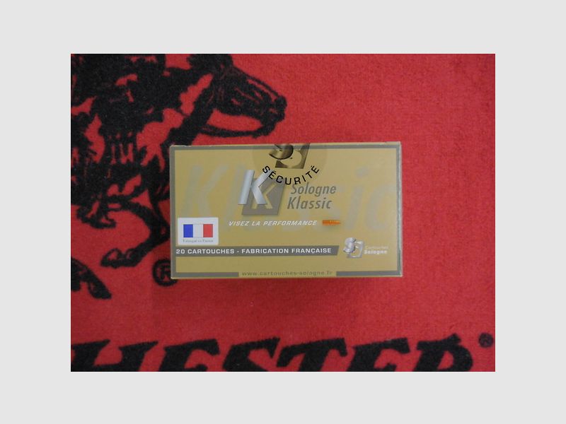Sologne Nosler BT 30-06 180 gr, afbeelding 1 van 3