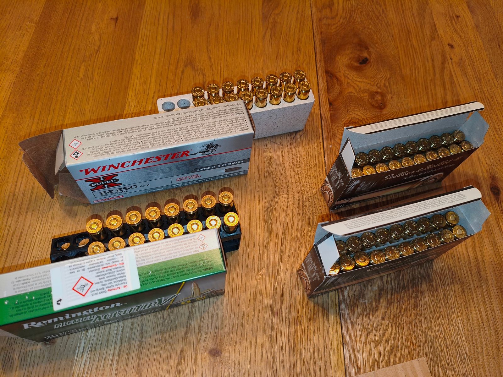 Diverse munizioni da caccia .22-250 (confezione per il collaudo)