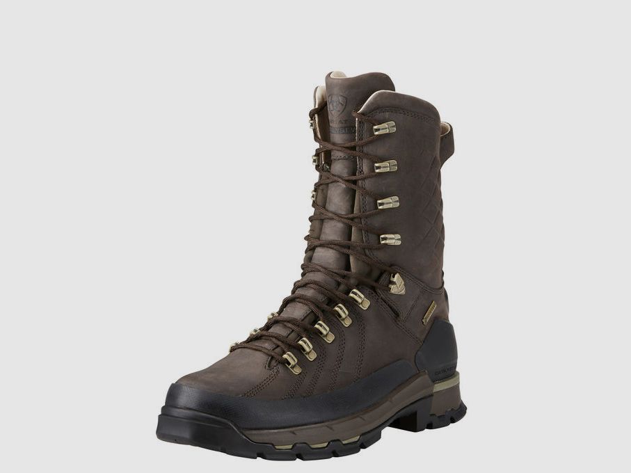 ARIAT CATALYST DEFIANT GTX 10″ 400G HERREN 10 », Bild 1 von 5