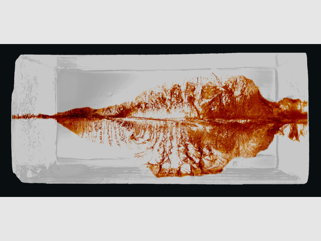 RWS 2430781 9.3x62 Driven Hunt Short Rifle 16.2g/250grs.