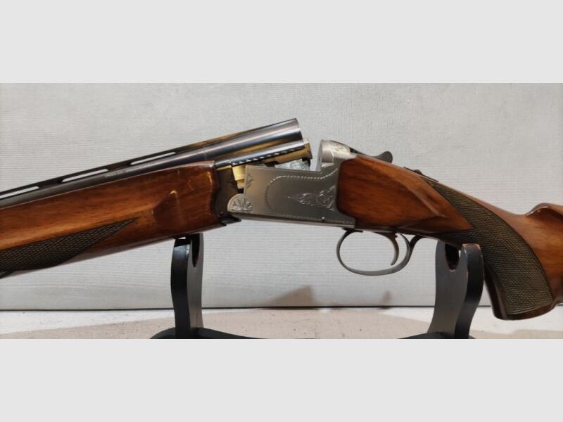 Modelo de caza Mistral
