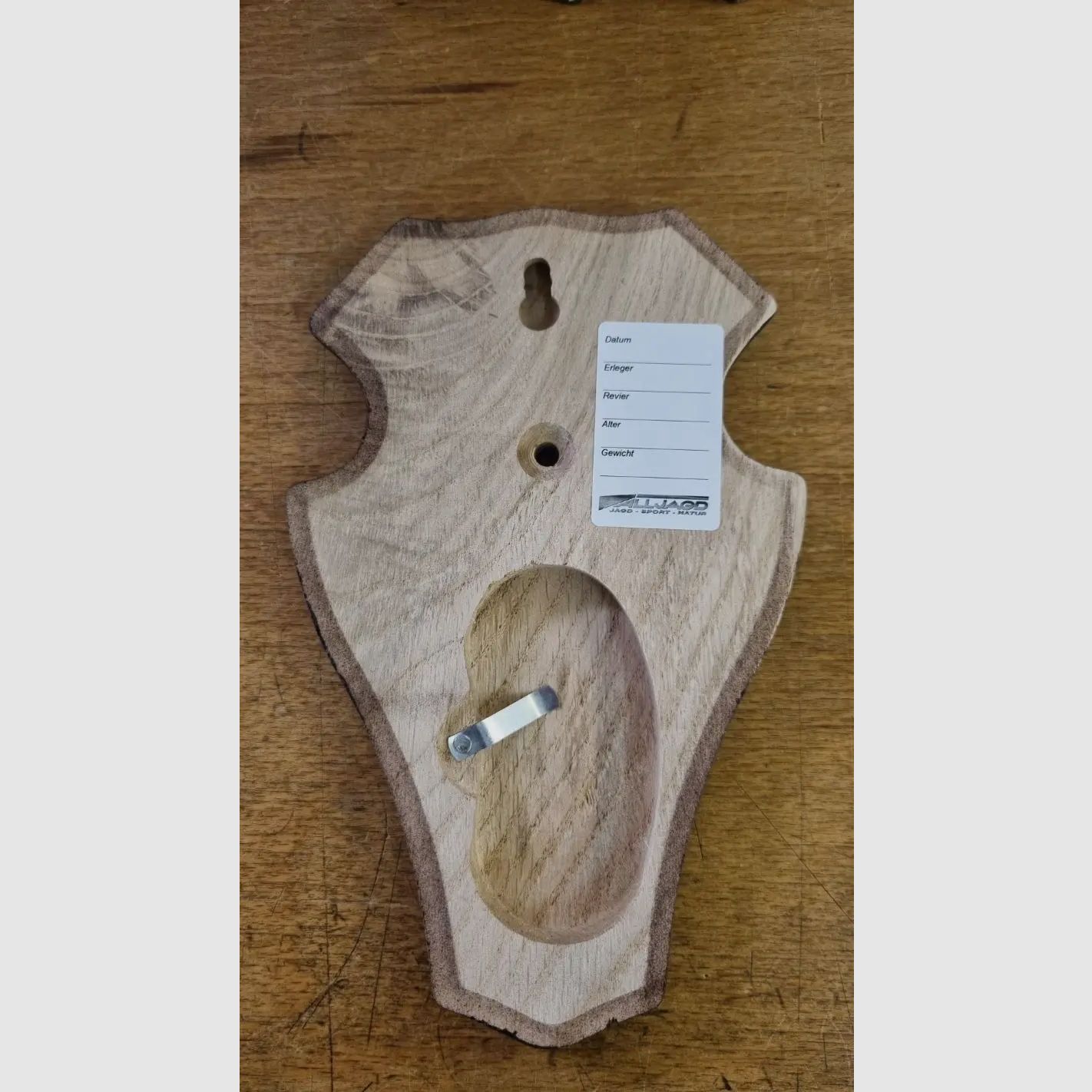 Trophäenschild für Rehbock aus Eichenholz – rund