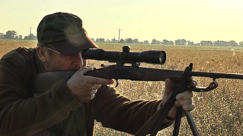 Fantastische Blattjagd in Masuren - 2 Rehböcke werden gestreckt! Fantastic roe buck hunt in the rut!