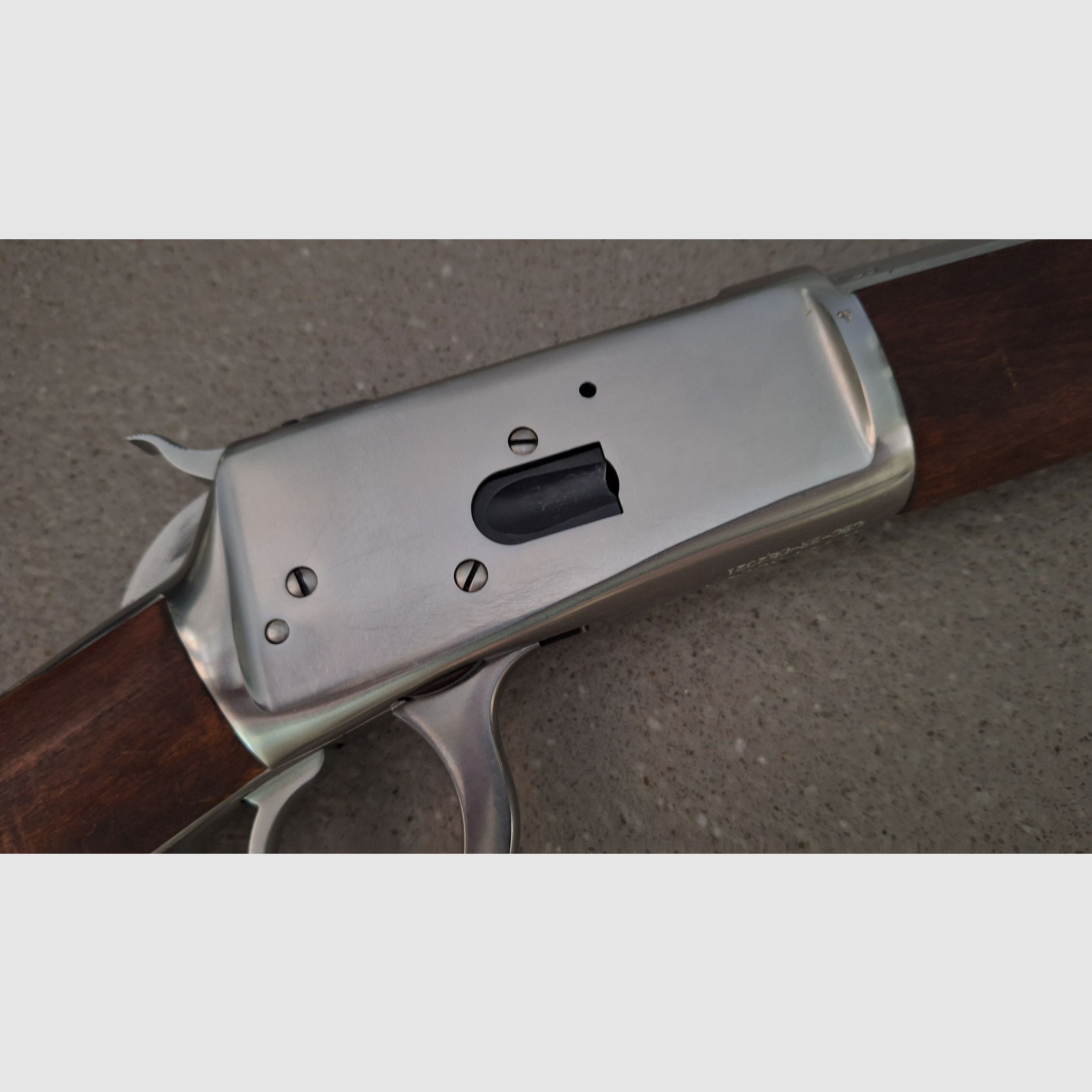 Puma Octagonal, Rossi .44 Magnum 24 inch stainless con Burris Fastfire 3