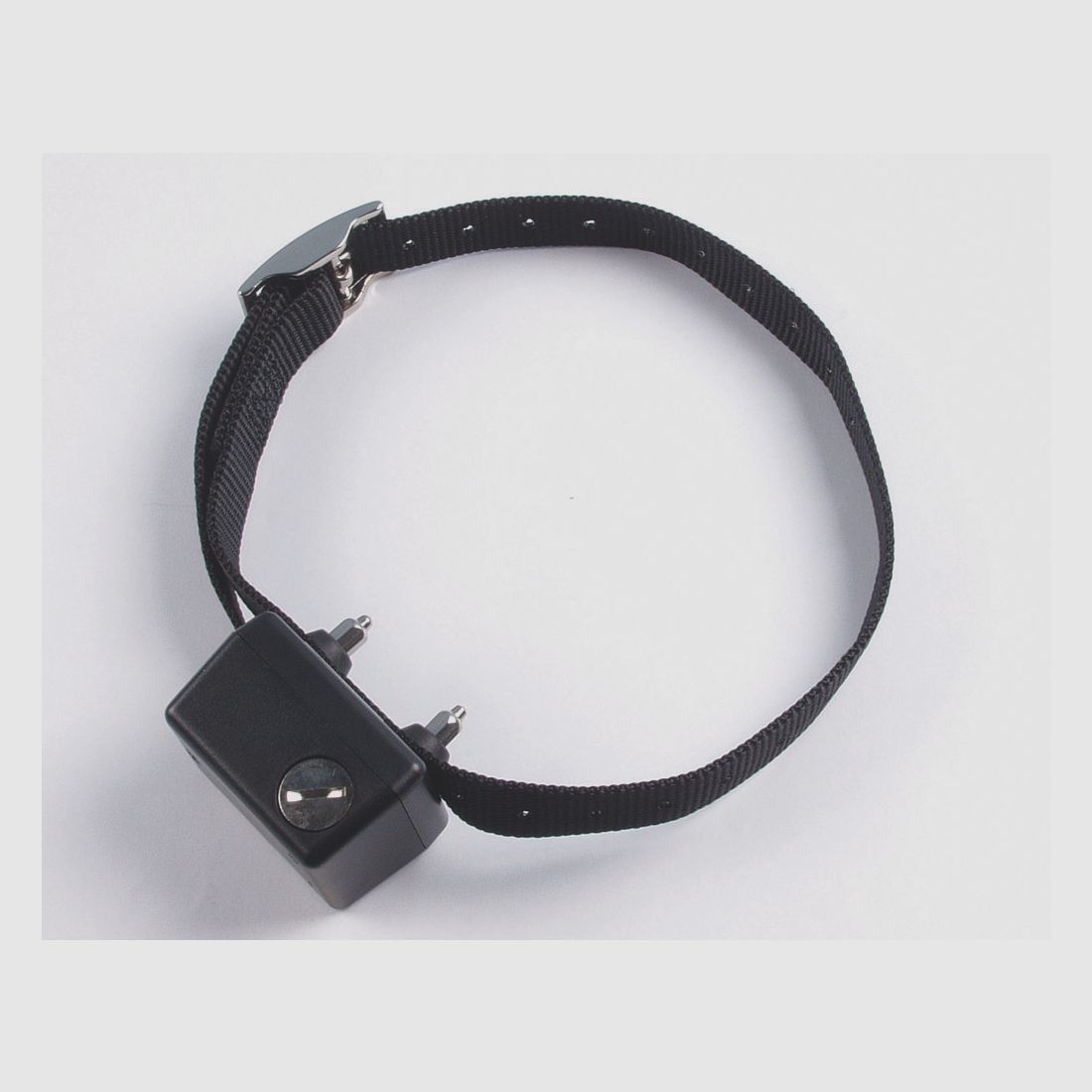 Collier anti-aboiement