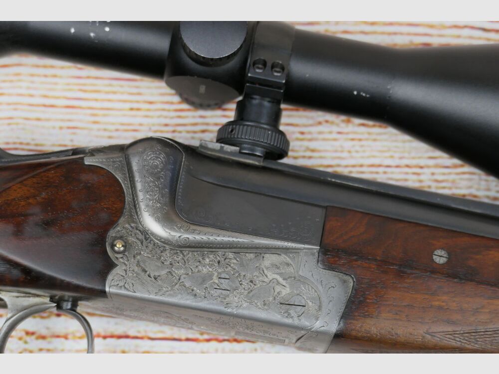 Merkel Suhl 211 mit Meopta 3-12x56 mit Leuchtabsehen und Docter Sight