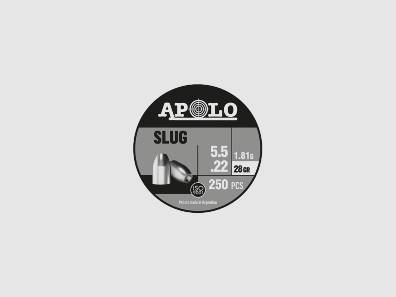Skyway SLUG 7,62 MM (30) 60/3,9 Dose 100