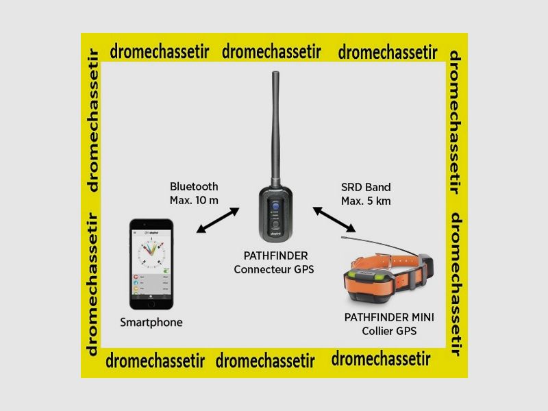 Pack dressage et repérage avec récepteur et collier Dogtra pathfinder mini, image 5 sur 5