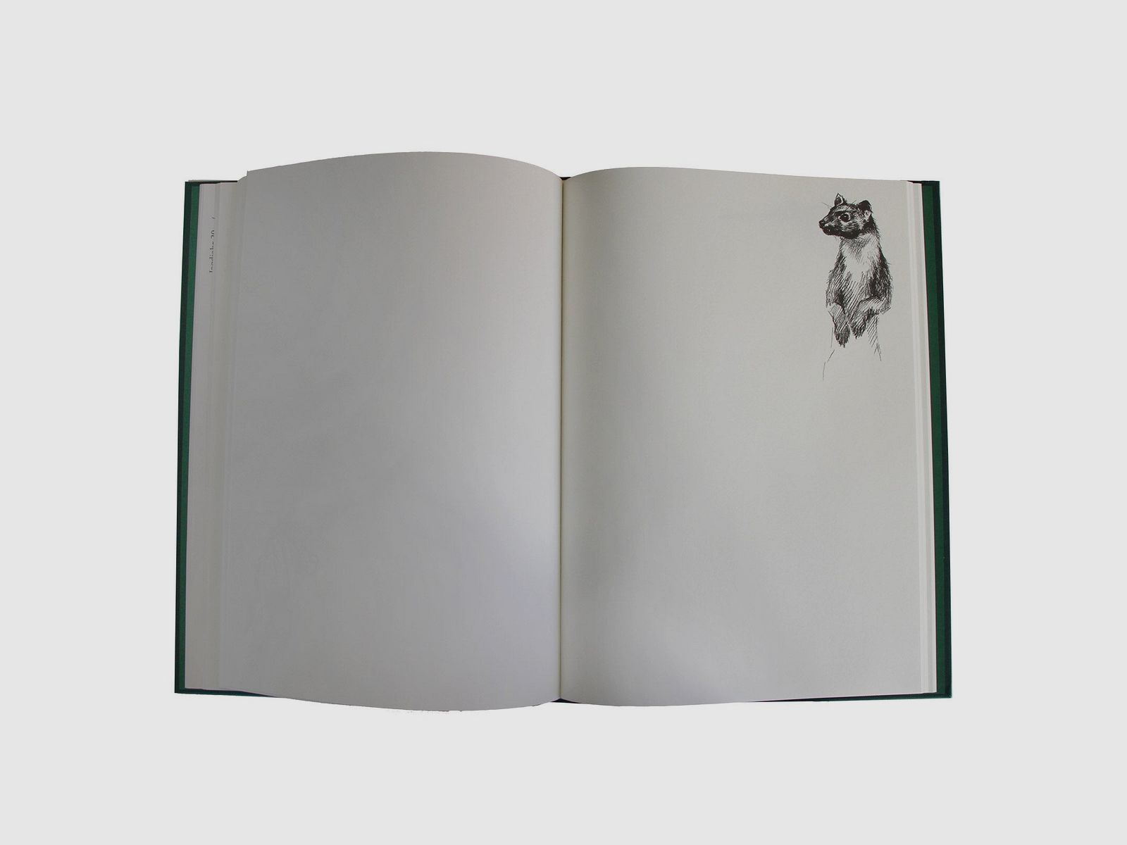 Schuss- und Jagdtagebuch