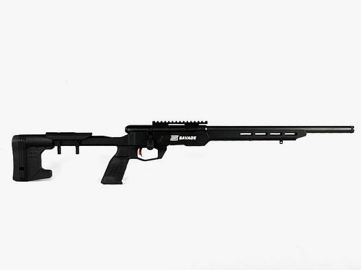 SAVAGE B22 Precision