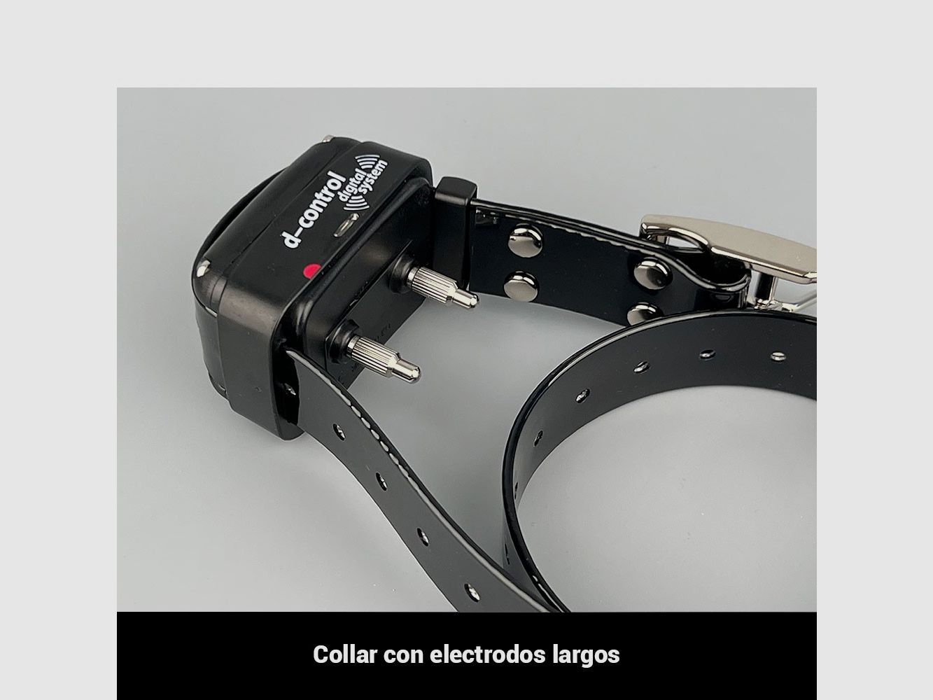 Dogtrace 1000, image 1 sur 9
