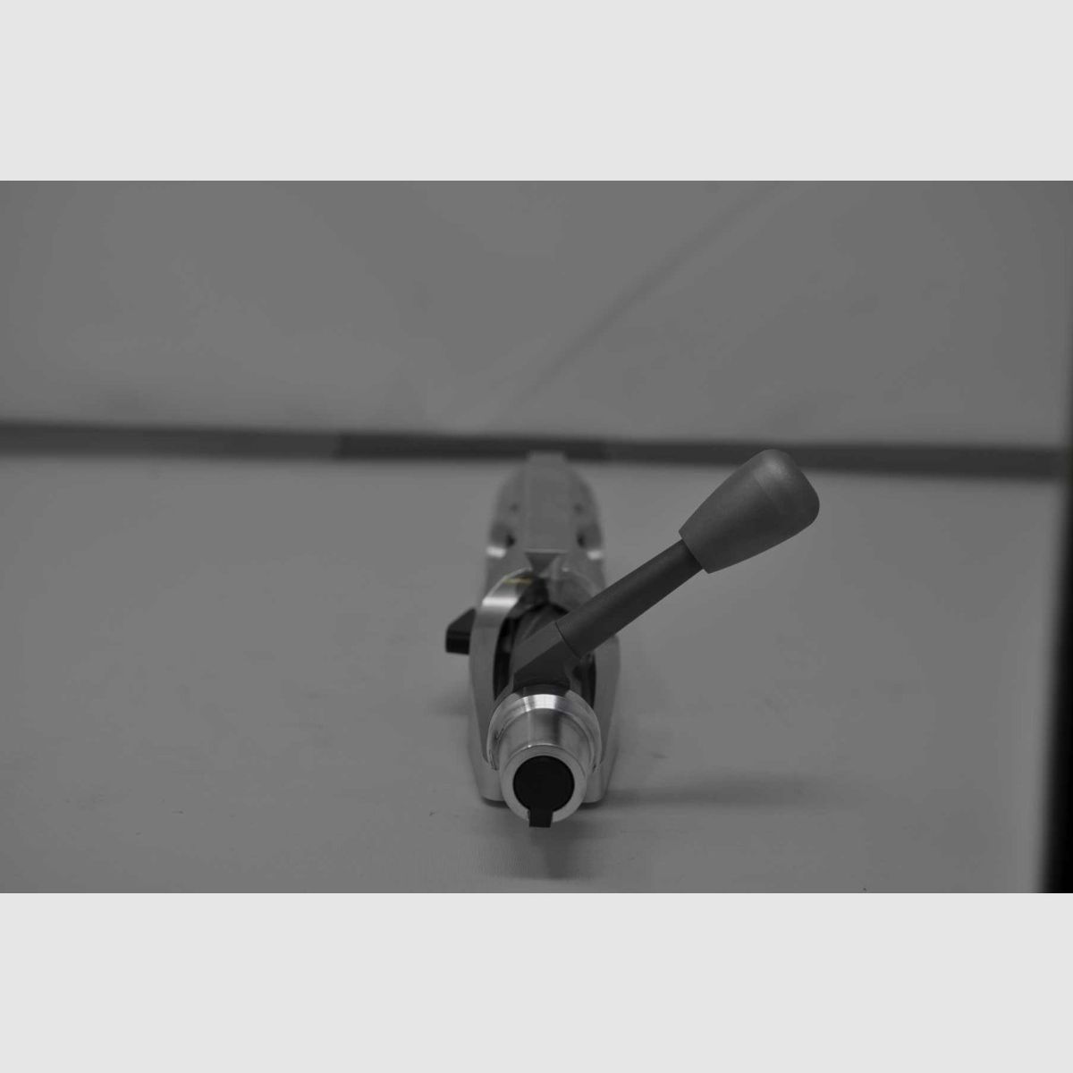 KELBLY AZIONE PANDA, immagine 2 di 13