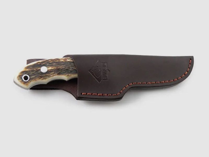 PUMA IP ebro, stag