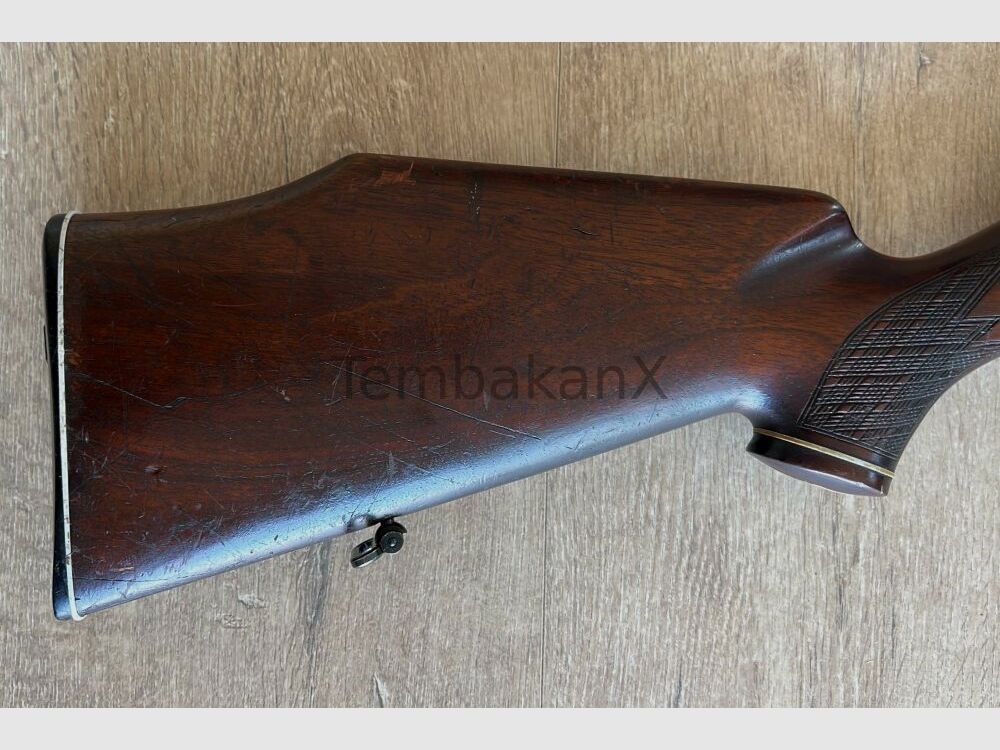 Mauser Mod. 66 .30-06Spring