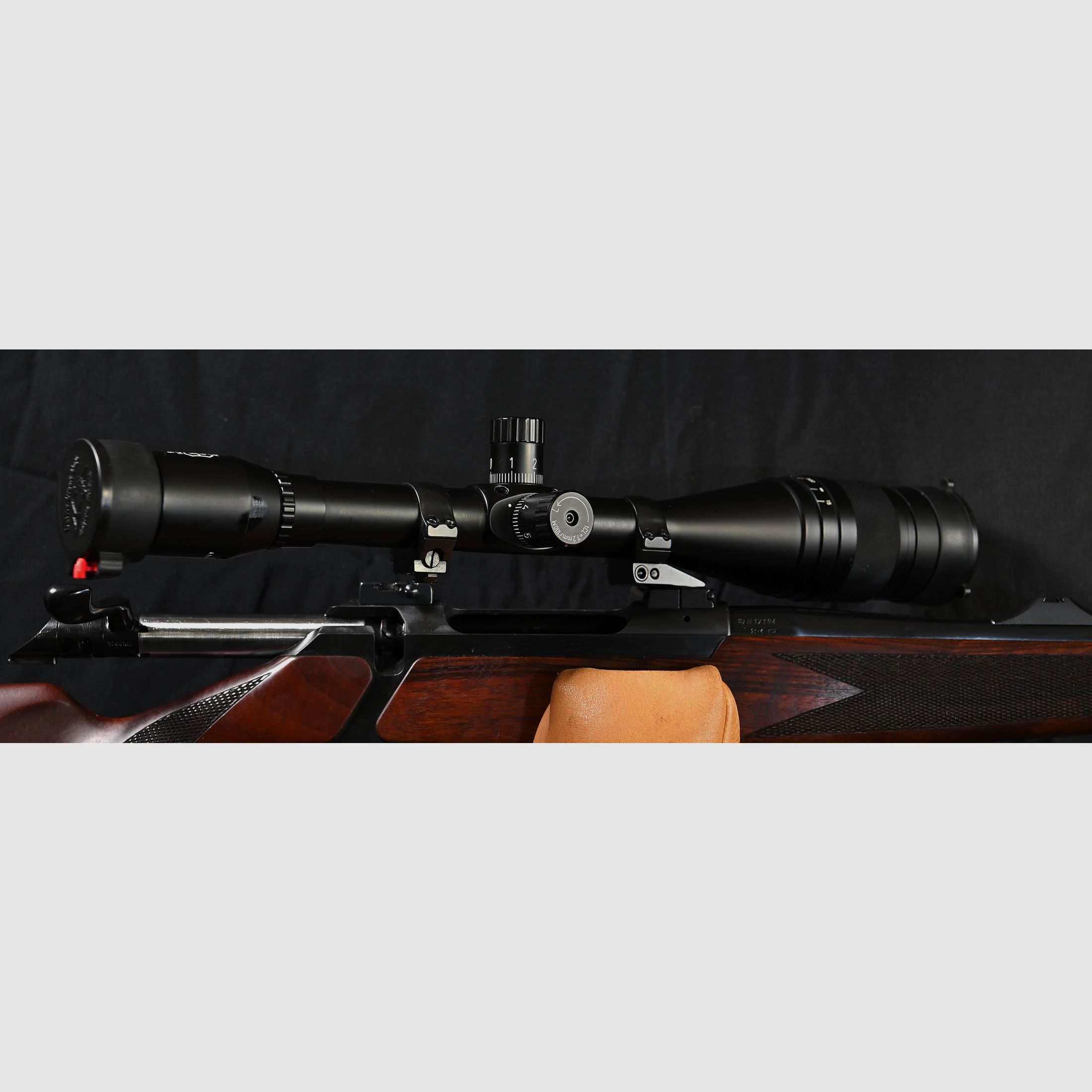 200 Europa mit ZF mit Parallaxe Ausgleich auf Schwenk Montage