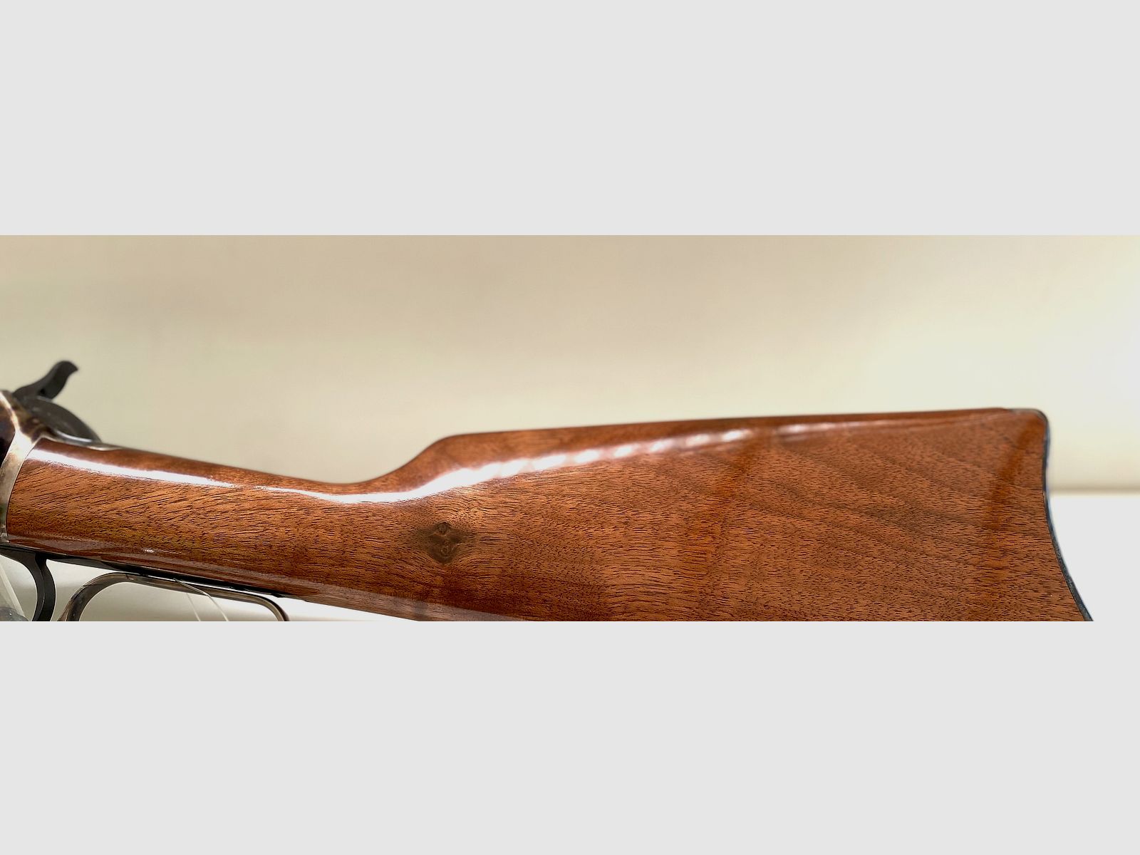 CHIAPPA 1892 L. A. Carbine | 20" | .45 LC