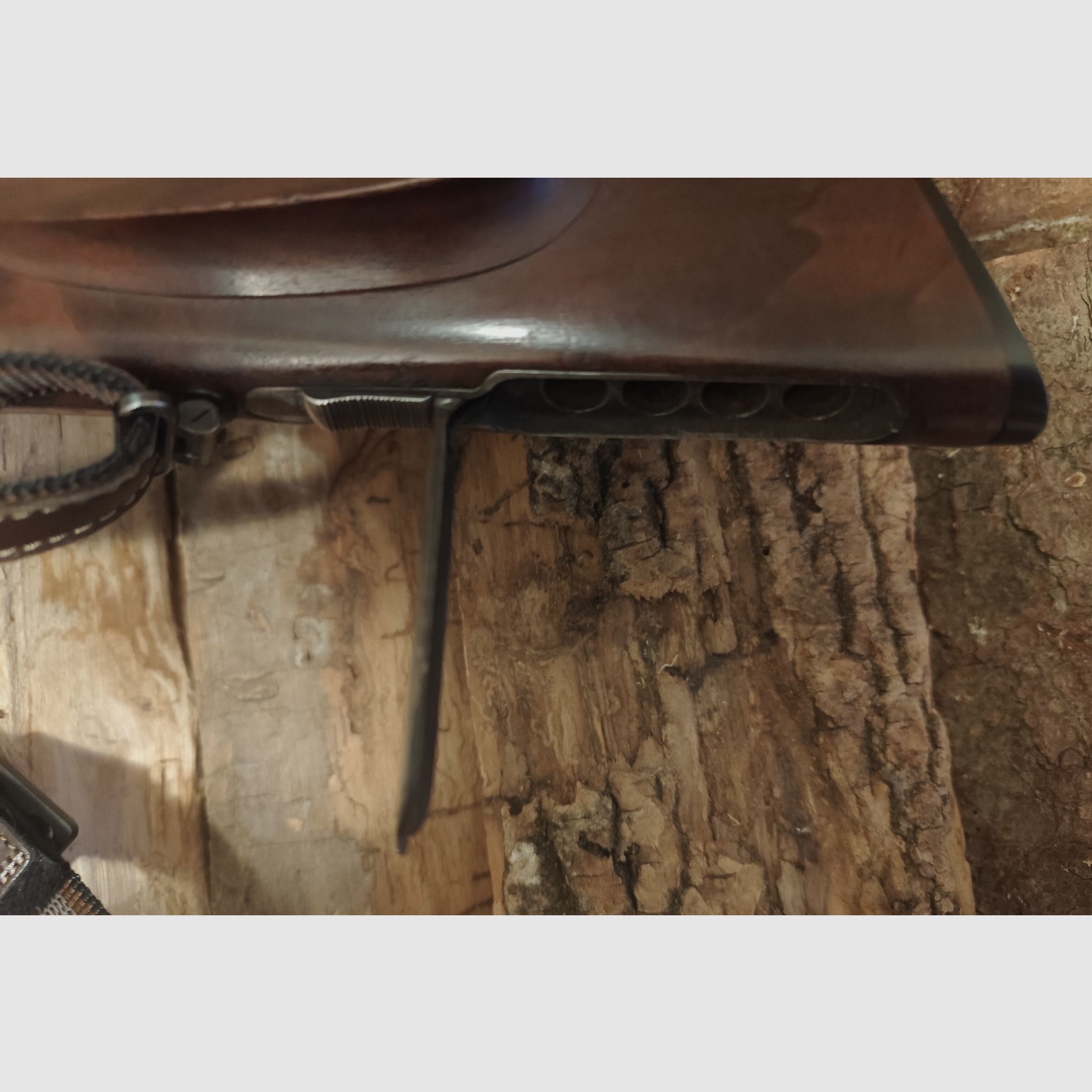 Sauer and Son Drilling