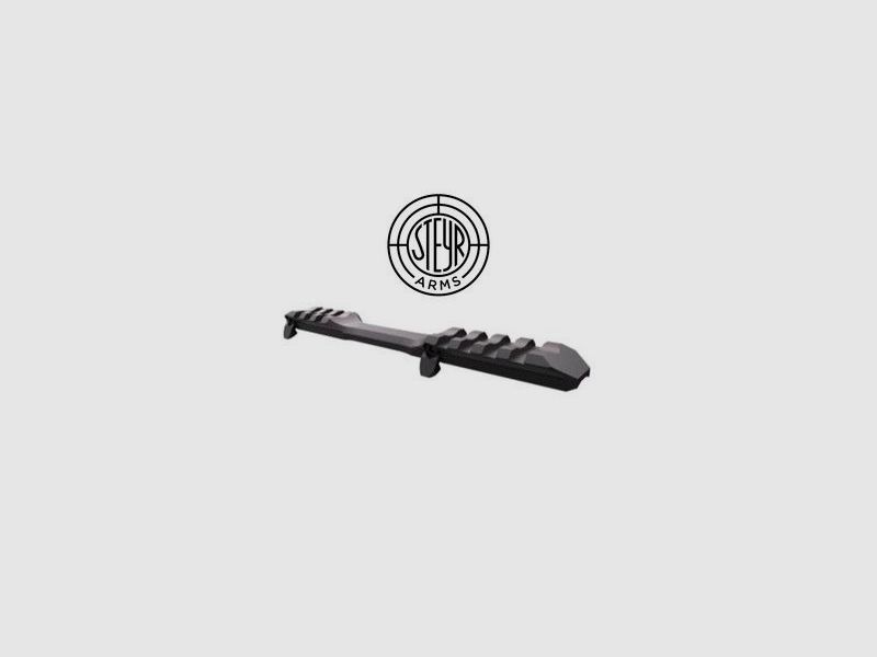 Steyr Arms Picatinny rail monobloc