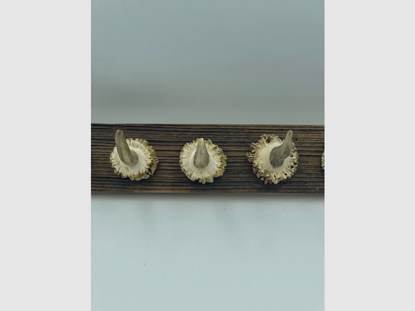Porte-clés en bois de cerf, image 4 sur 4