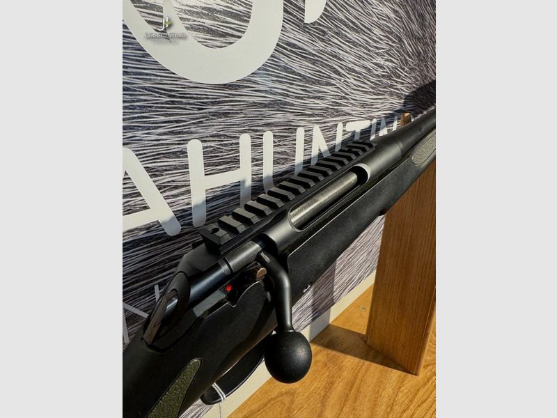 Haenel Jäger 10; Picatinny Schiene; Stalone SD