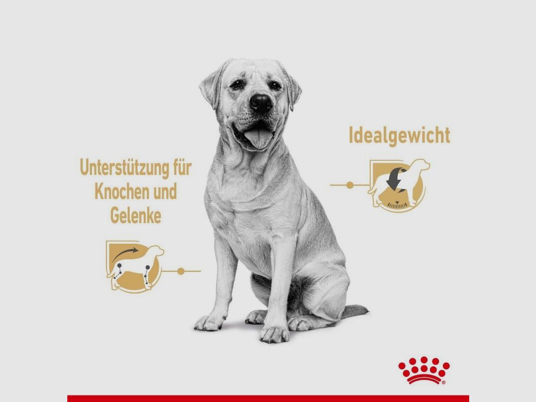 ROYAL CANIN Labrador Retriever Nassfutter Adult Stückchen in Soße 10x140 g