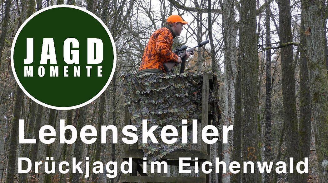 JagdMomente | Folge 16 | Lebenskeiler - Drückjagd im Eichenwald