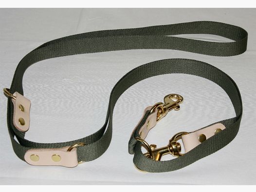 BLF Dressurline Webbing - 25mm x 250cm - Grøn