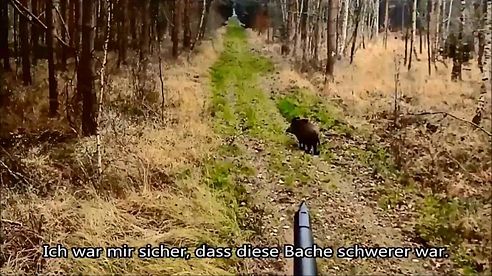 Drückjagd Driven Hunt gesammelte Werke