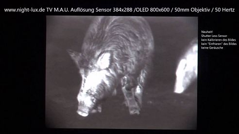 TV MAU Wärmebild Vorsatzgerät Wildschweine im Gatter 13 02 2016