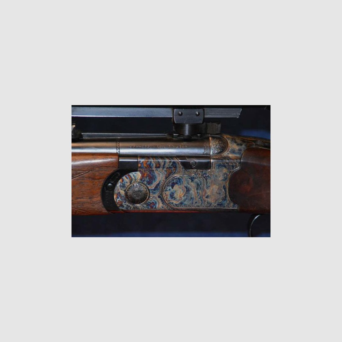 Beretta Express