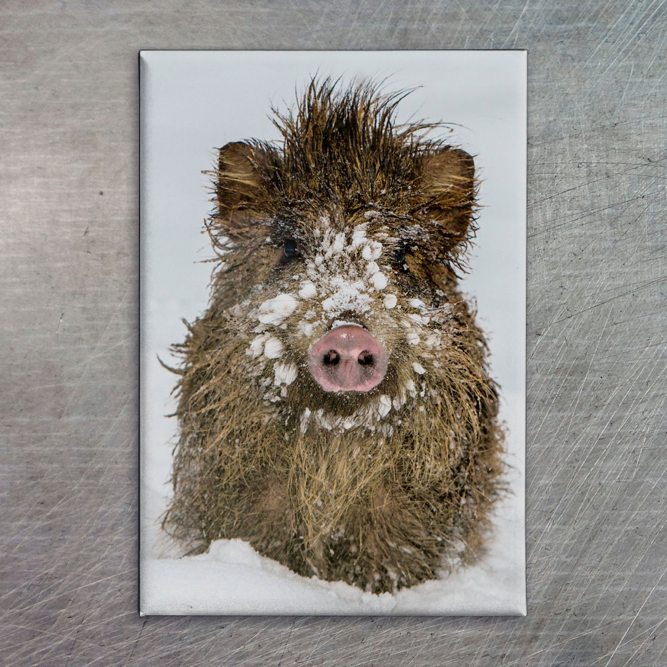 Magnes na lodówkę dzik