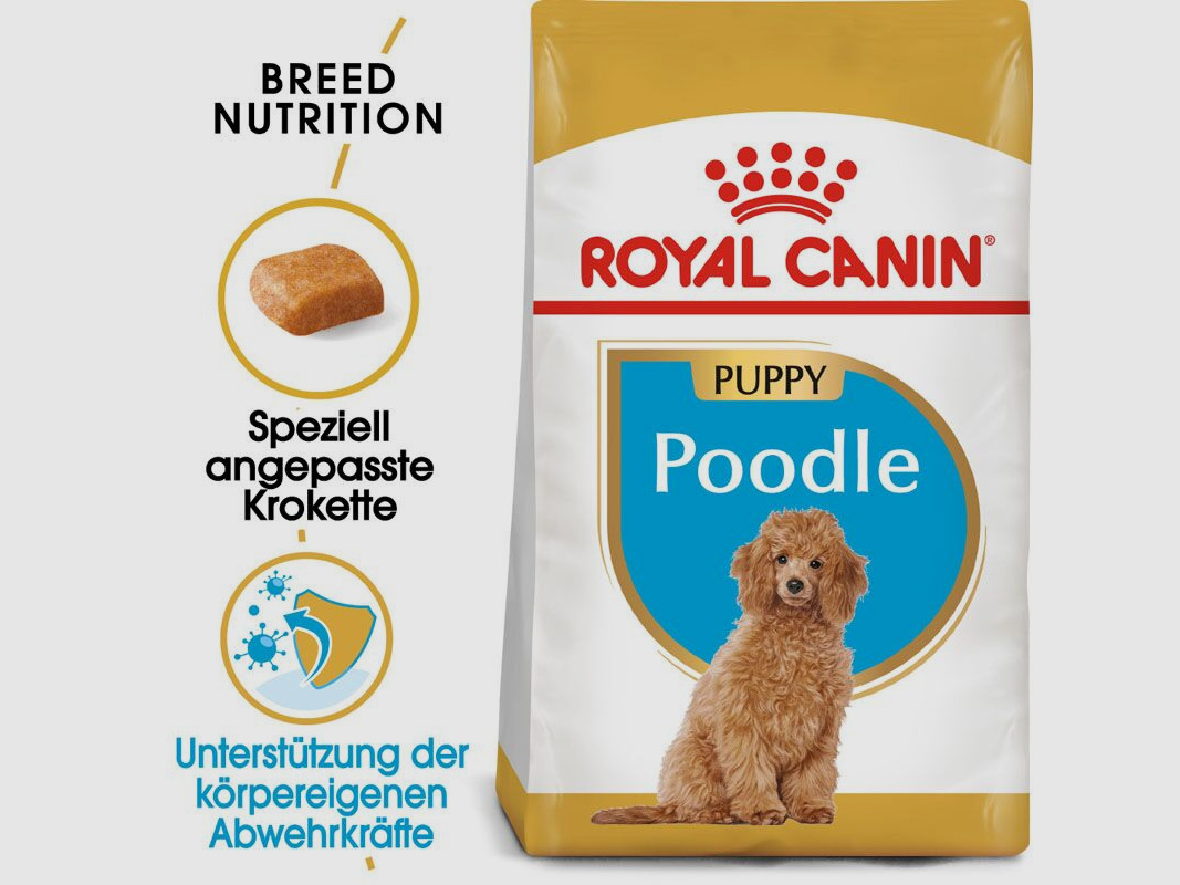 ROYAL CANIN Pudel Trockenfutter Welpen 3 Kg