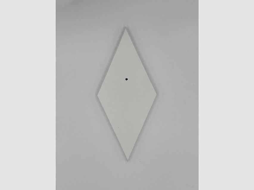 Tablero de cuernos - Tablero de trofeos ciervo Waldemar - Color negro, gris o blanco, imagen 5 de 8