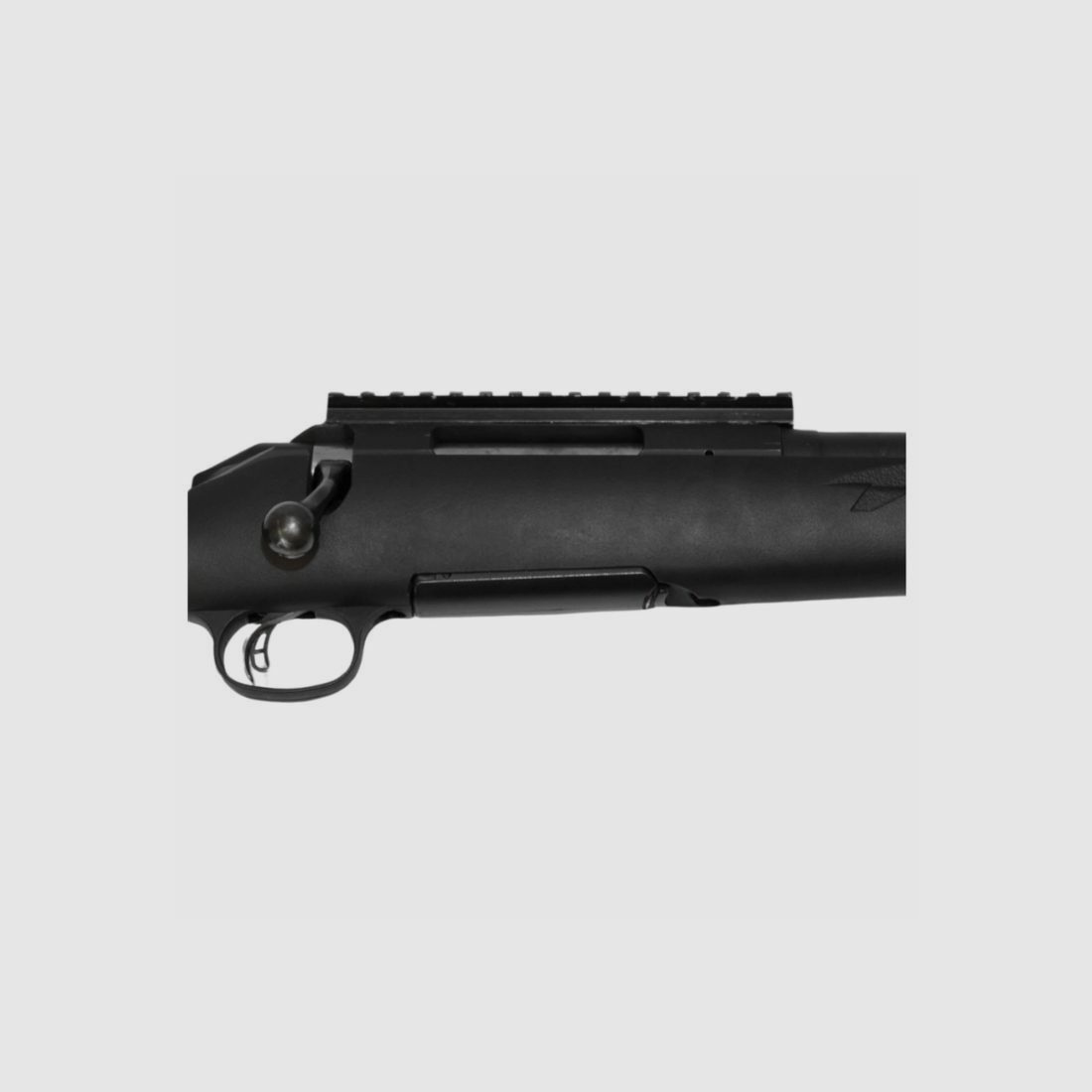 Ruger	 Ruger American