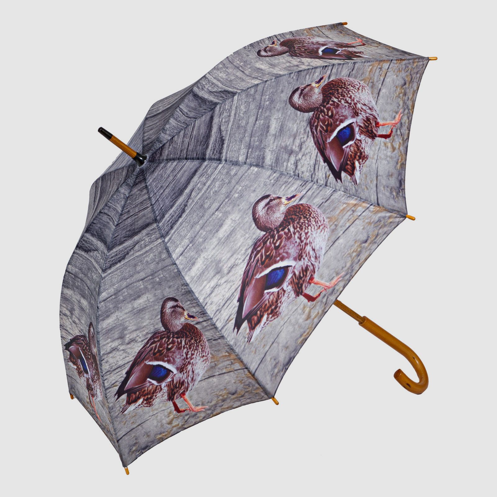 Parasol Kaczki