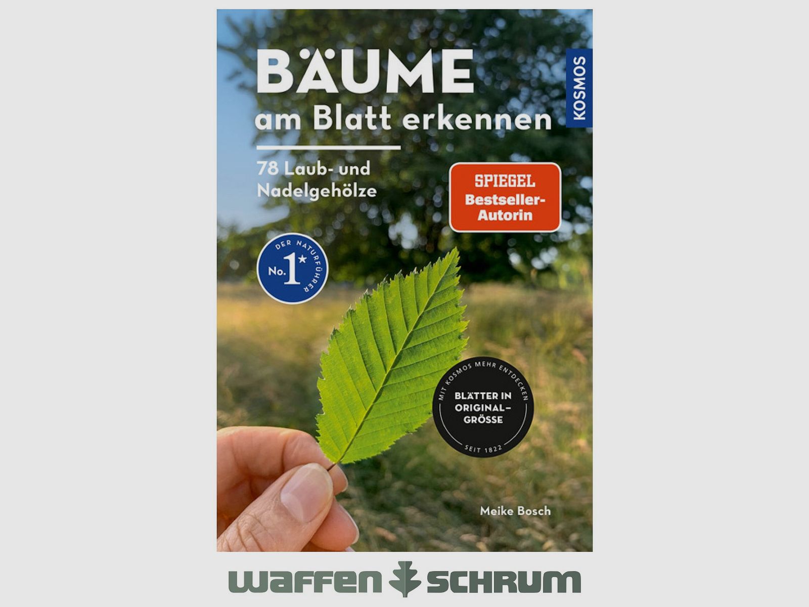 Riconoscere gli alberi nel fogliame Meike Bosch