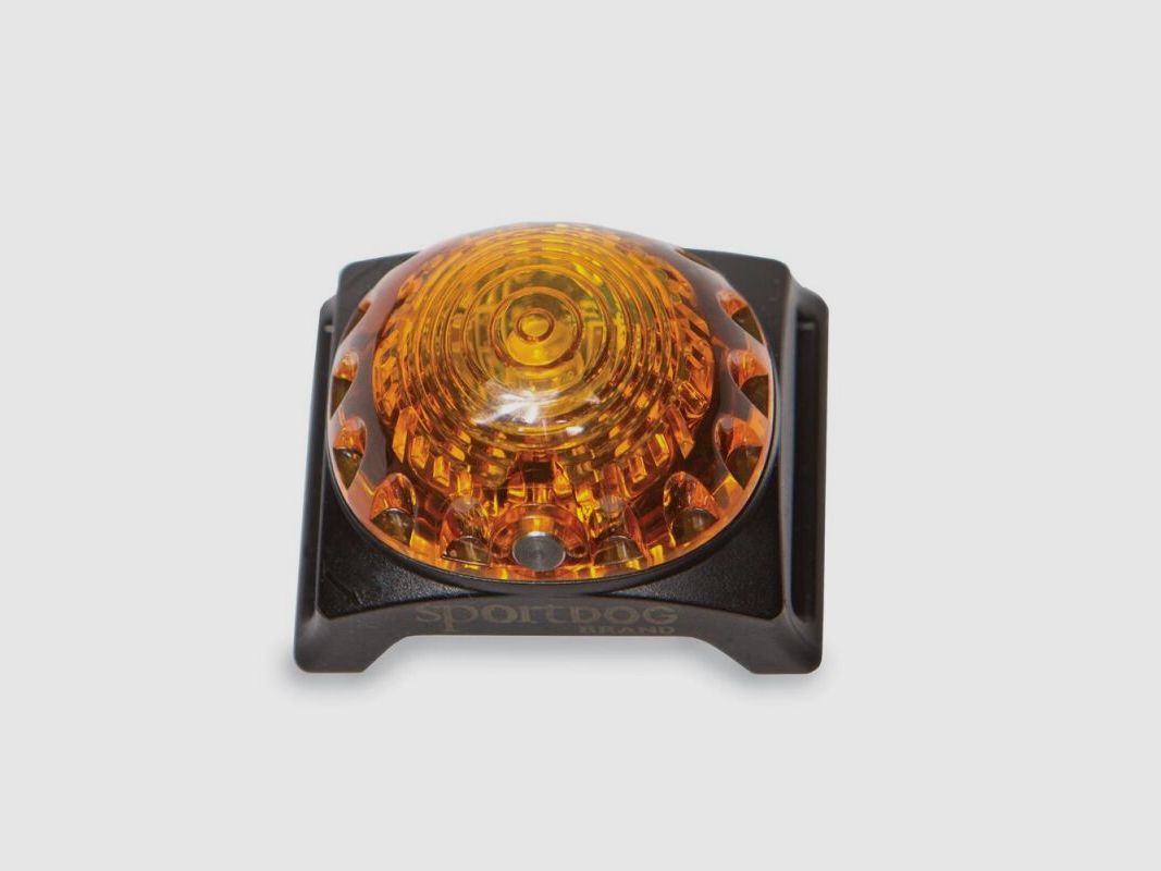 Sport Dog Hunde Ortungsleuchte