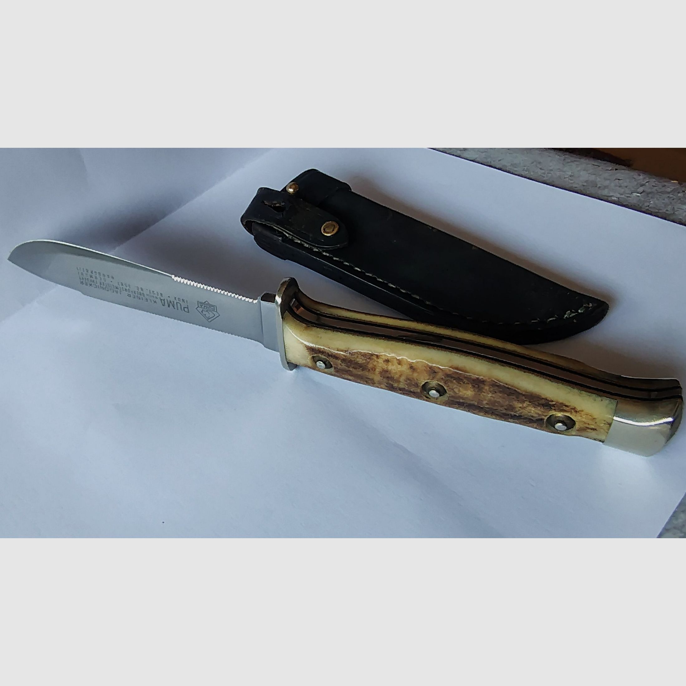 Puma kleiner Jagdnicker von 1976